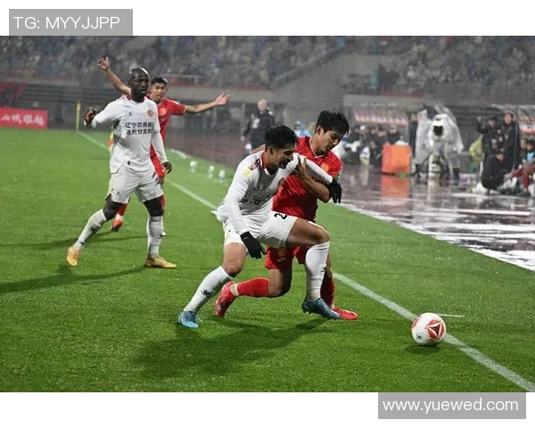 足球球星与观众席的区别揭示竞技场上角色定位与观赛体验的多重差异